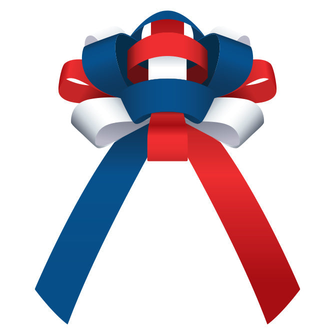 Magnetic Shiny Car Bow - 30"