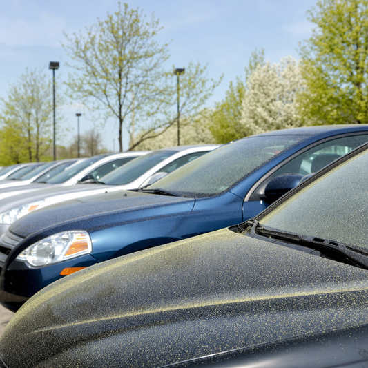 How to Protect Lot Inventory From Pollen Damage This Spring
