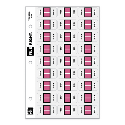File Right Auto-Makes Labels - 270 Labels Per Set for Dealers