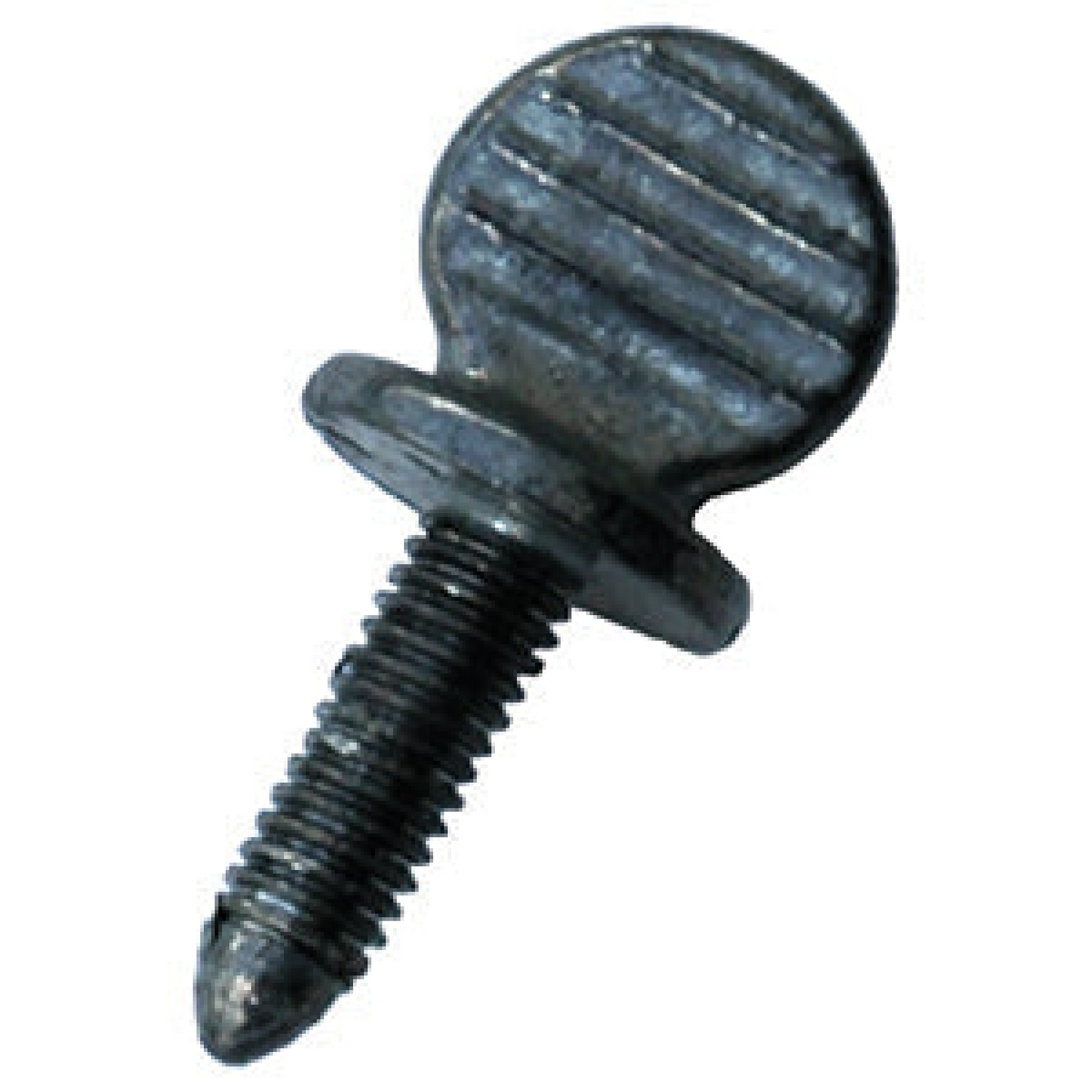 License Plate Thumb Screw - Metric