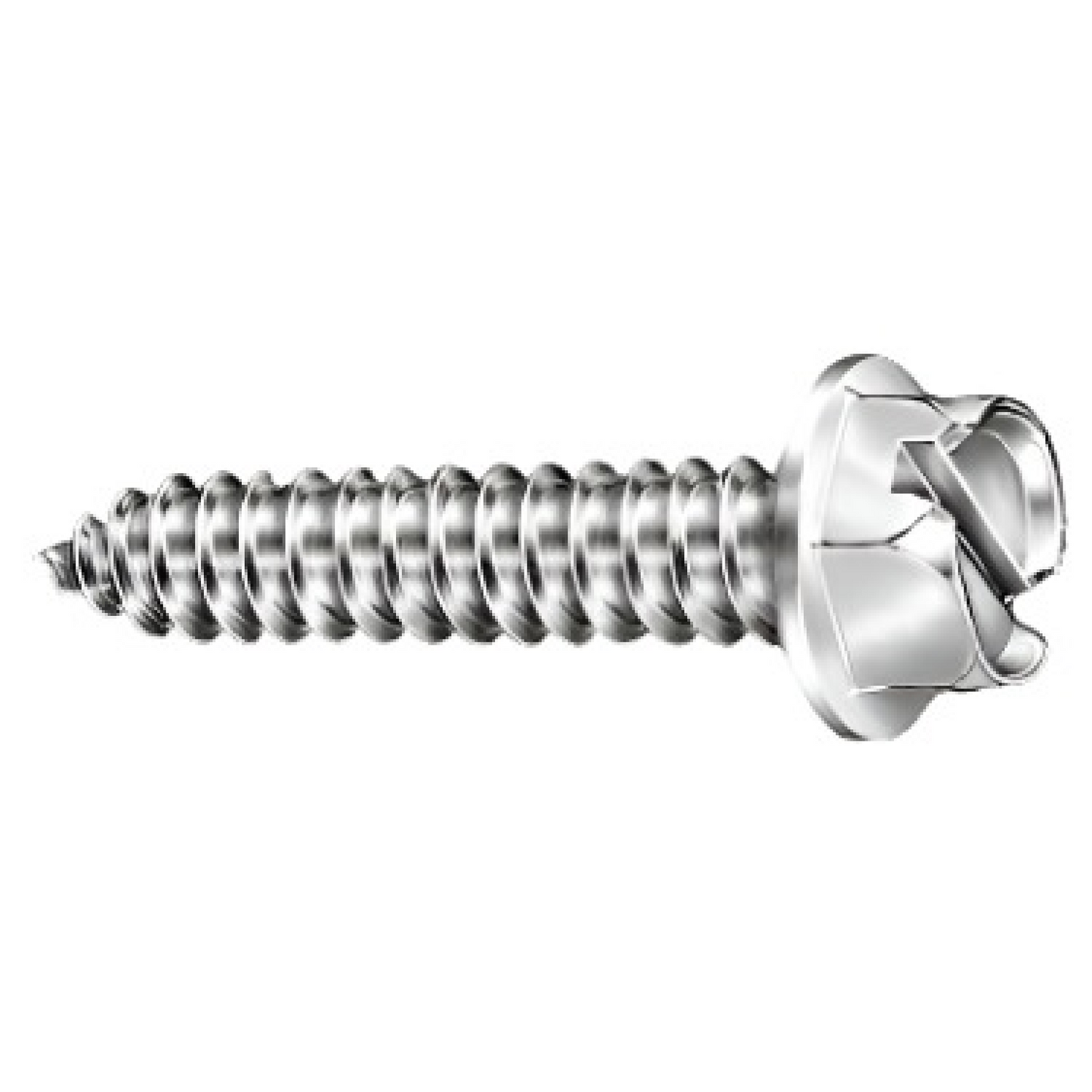 License Plate Slotted Hex Head Screws (100 pack)