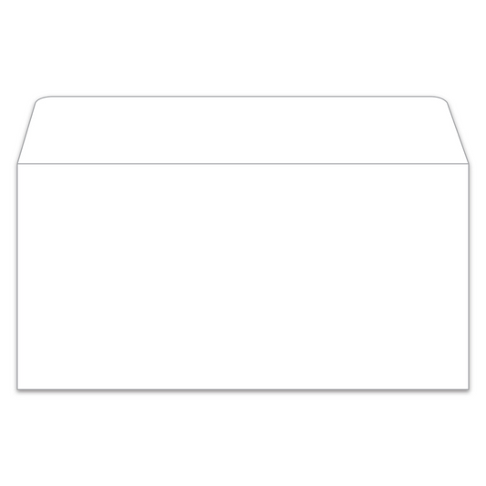 License Plate Envelope - LPEV-1 - Moist & Seal - White