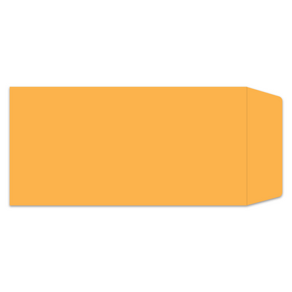 License Plate Envelopes - 13" x 6-1/2" Moist & Seal (LPEV-1)