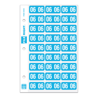 File Right 2006 year labels ringbook sheet (item 3506), white 06 on light blue