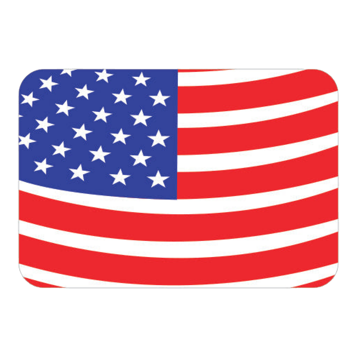 American flag car hoodie