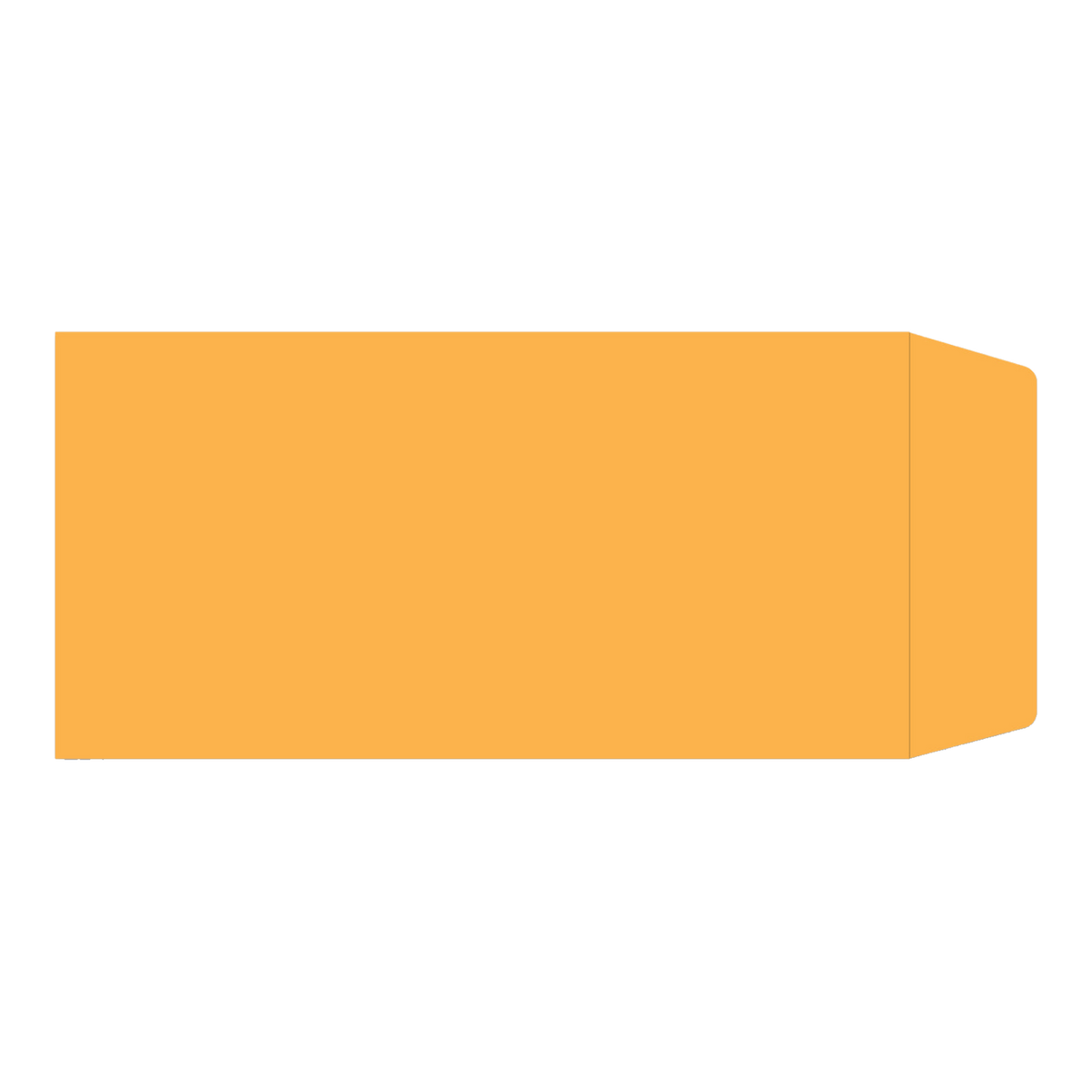 Orange kraft license plate envelope