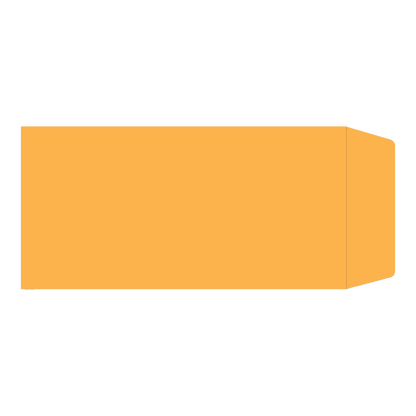 Orange kraft license plate envelope