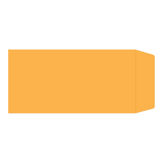 Orange kraft license plate envelope