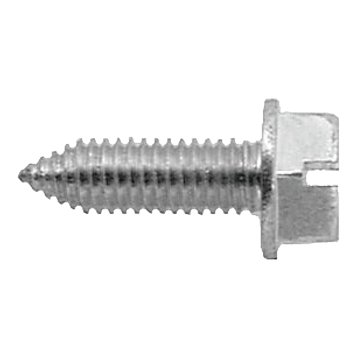 Silver slotted hex washer head license plate screw