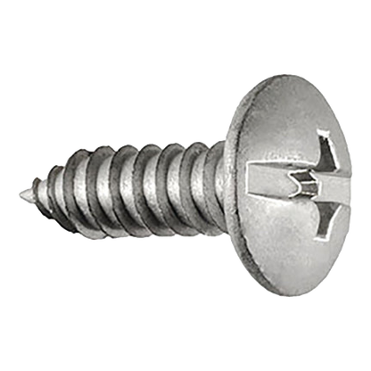 Silver duo-drive truss head license plate screw, side view