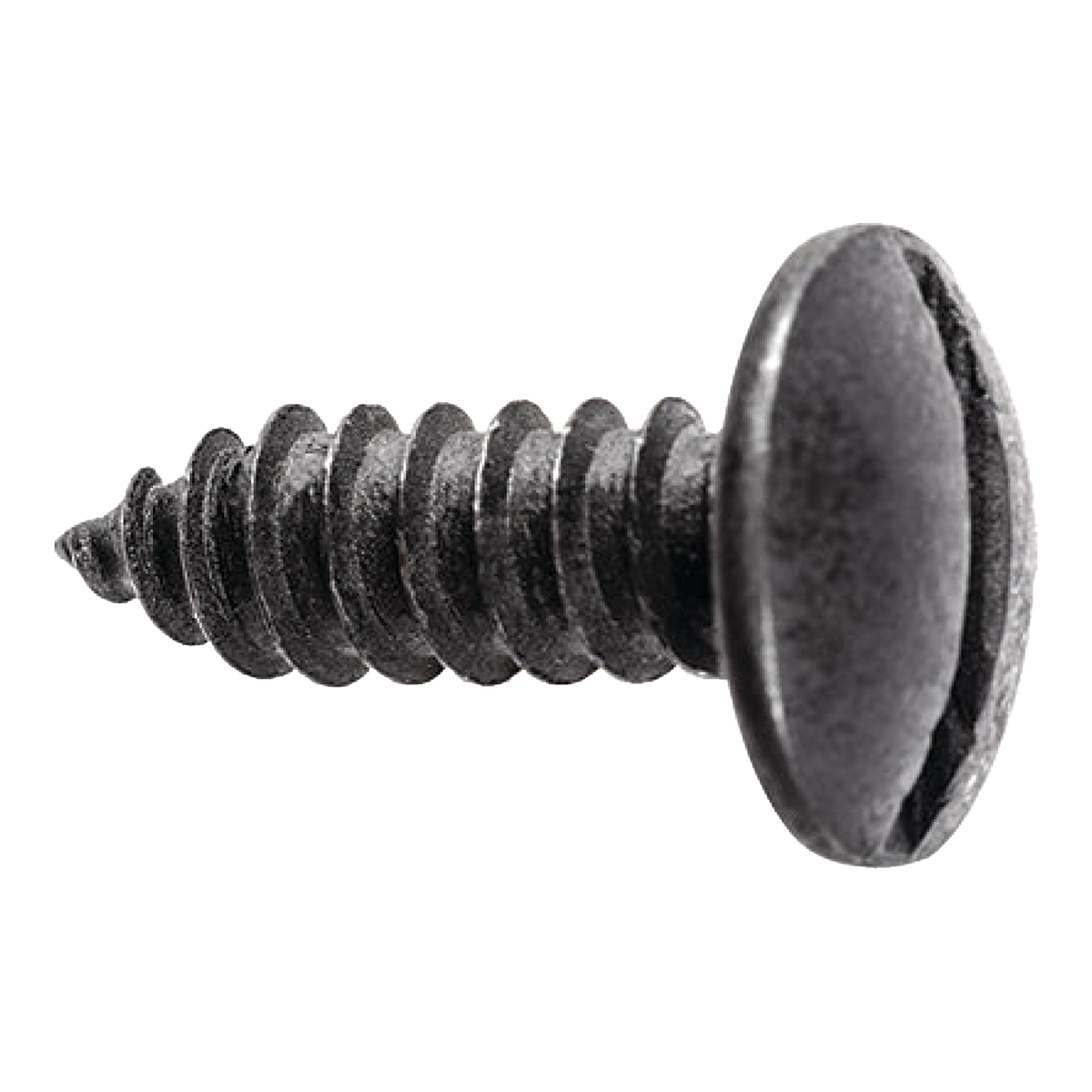 Black slotted truss head license plate screw