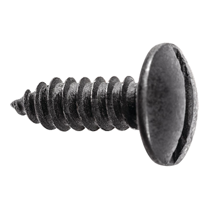 Black slotted truss head license plate screw