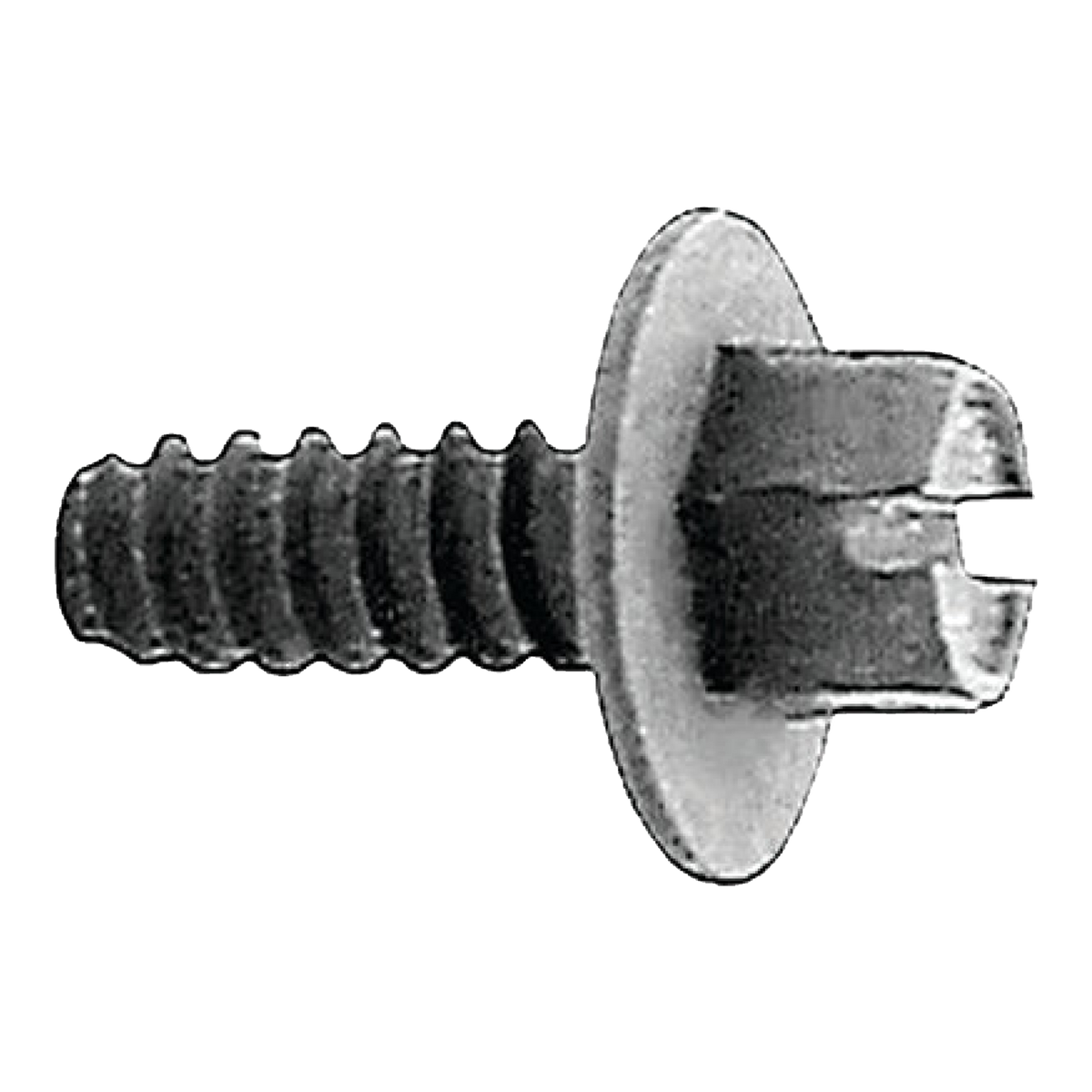 Black slotted hex washer head license plate screw