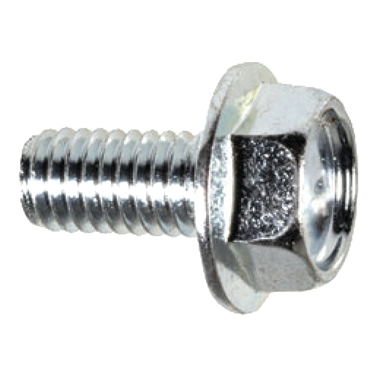 Silver hex flange head license plate screw