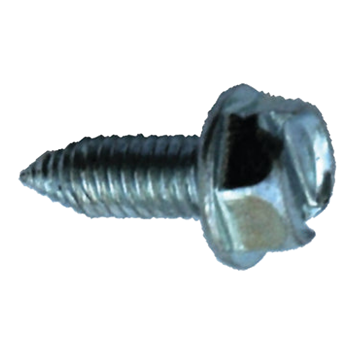 Blue zinc slotted hex head license plate screw