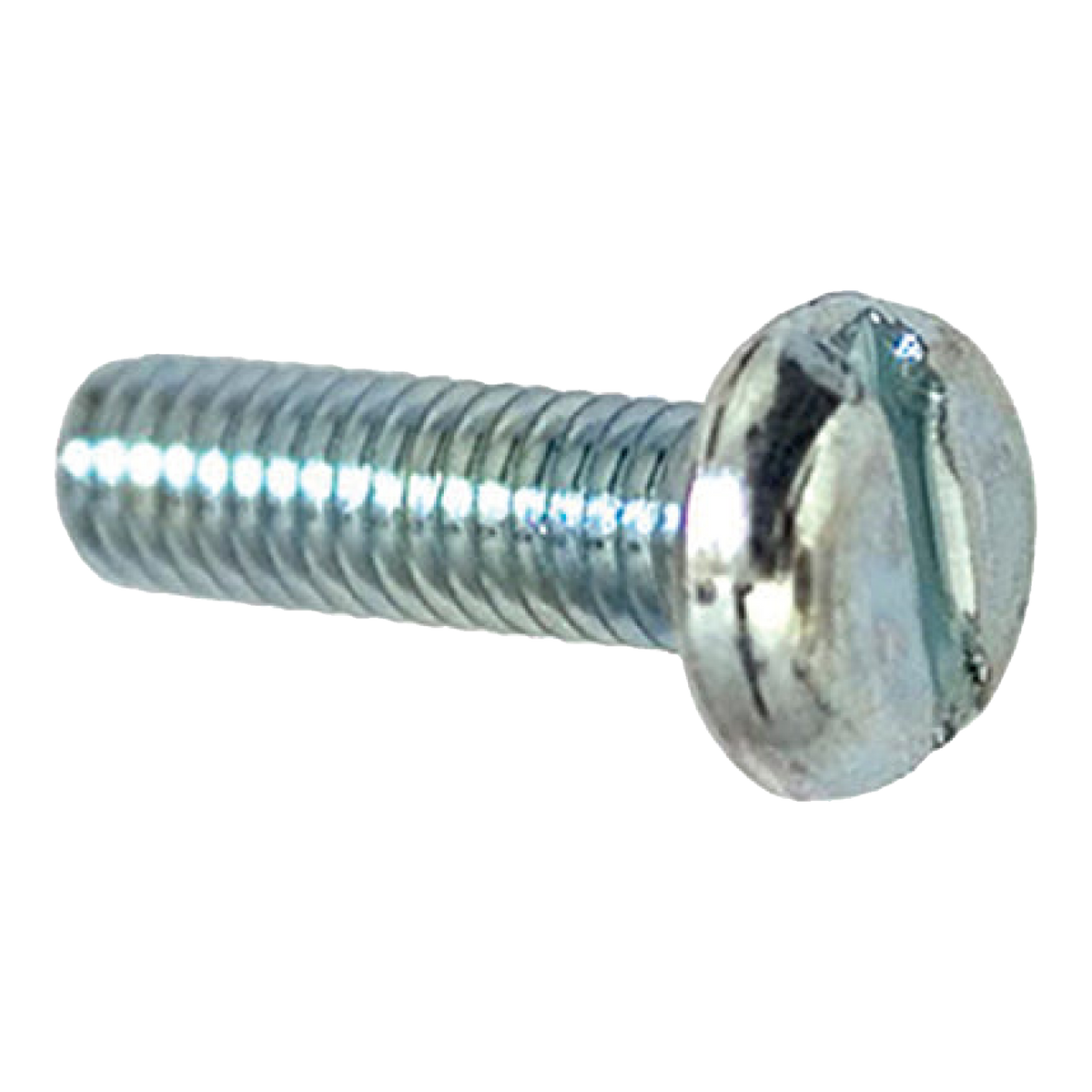 Silver slotted pan head license plate screw