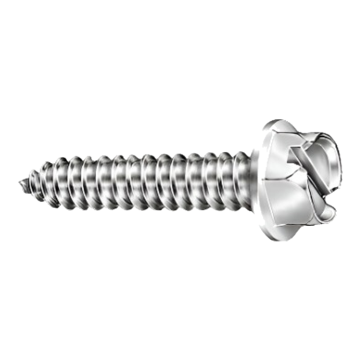 Silver slotted hex head license plate screw